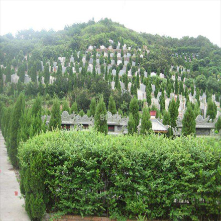 象山普明公墓